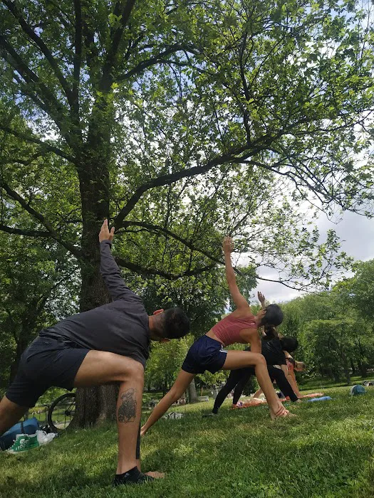 The Yoga Trail 5