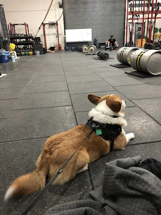 Dutch Kills Fitness 4