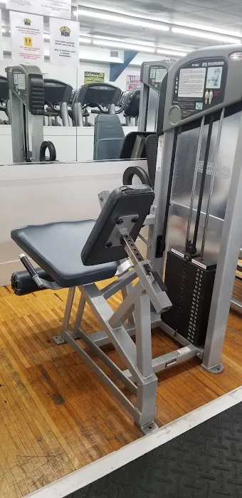 Dolphin Fitness Clubs 5