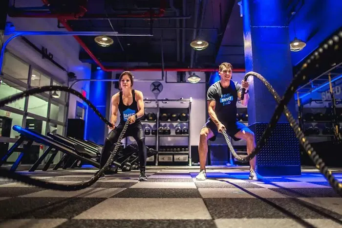 The SweatShed - FiDi 5