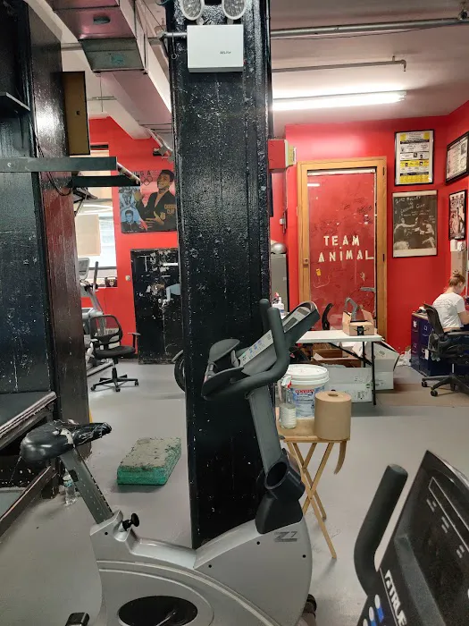 Gleason's Gym 5
