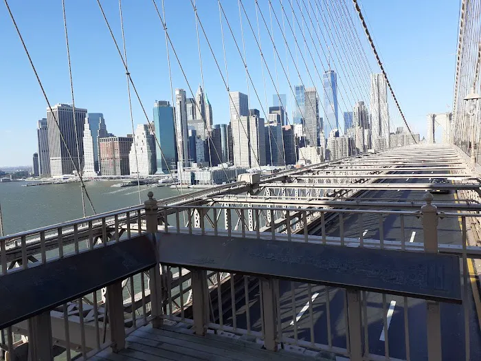 Equinox Dumbo 5