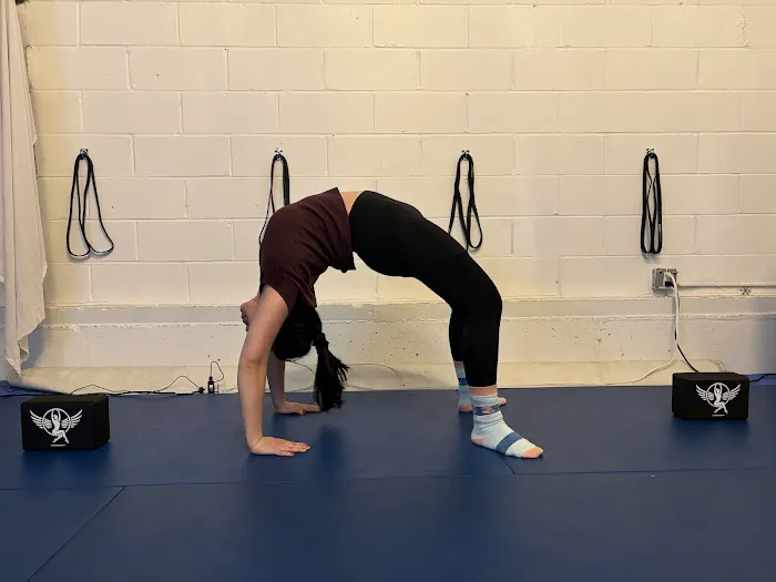 Tiger Mom Aerial Hoop Studio 5