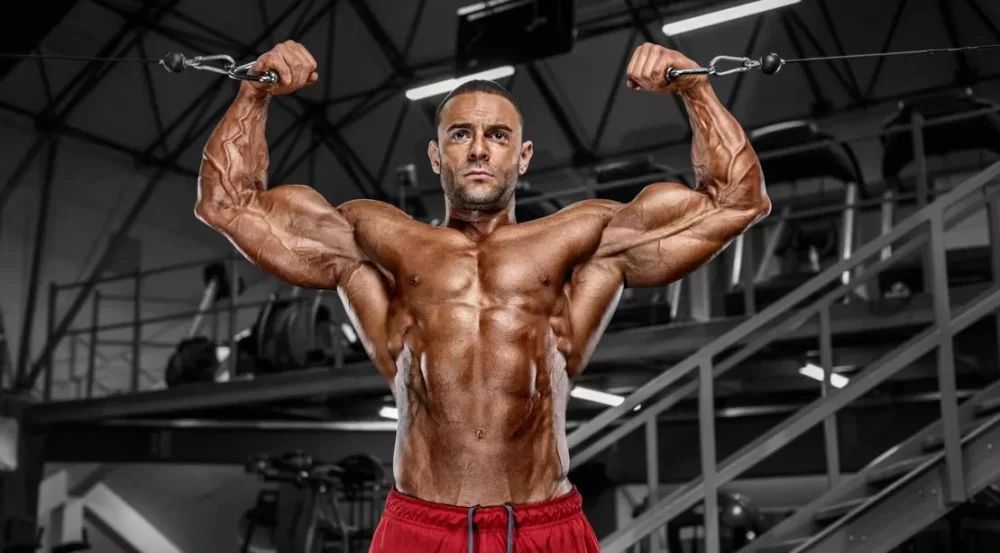 Effective Gym Workout Plan for Losing Weight Without Gym: Home-Based Fat Loss Strategies